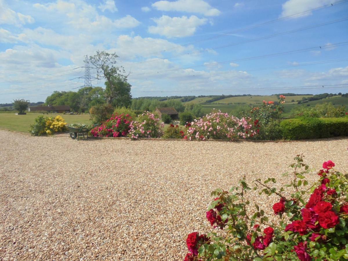 Rose Cottage Rye Zewnętrze zdjęcie